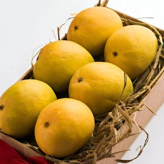 Alphonso Mangoes